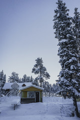 cabin in winter forest