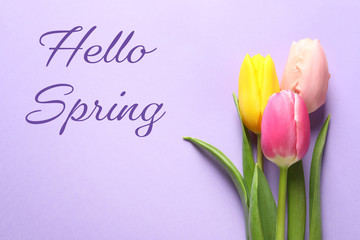 Beautiful flowers and text Hello Spring on color background, top view