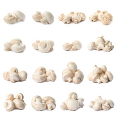 Set of fresh delicious champignon mashrooms on white background