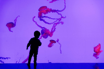 A child silhouetted against the jellyfish tank inside Ripley's Aquarium of Canada, Toronto, Ontario © Colin