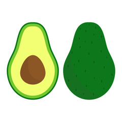Vector fresh fruit avocado isolated on the white background