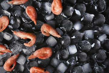 Flat lay composition with shrimps and ice cubes on dark background