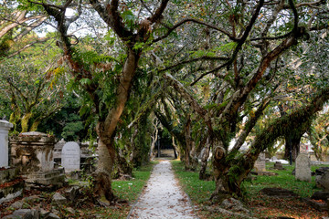 Fototapeta premium Protestant cemetery, Georgetown, Malaysia