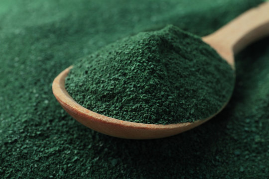 Spoon Of Spirulina On Green Algae Powder, Closeup