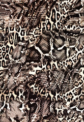 Leopard Fashion Pattern