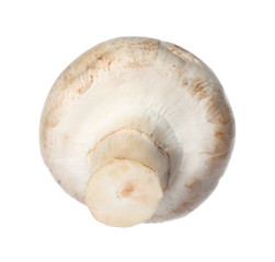 Fresh champignon mushroom isolated on white. Healthy food