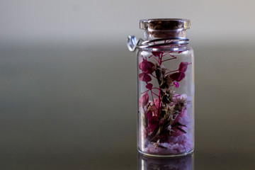 flowers inside tiny jar.