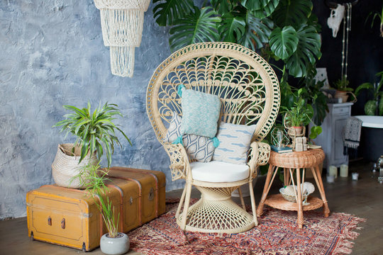Rattan peacock chair and big monstera plant in loft room
