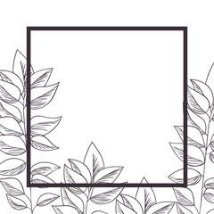 branch and leaf with frame isolated icon