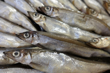 The fresh Shishamo fish are put together.