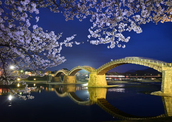 Beleuchtung der Kintaikyo-Brücke und Kirschblüten