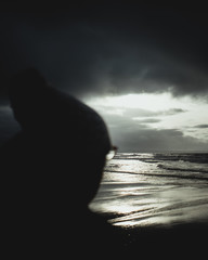 Silhouette of Woman in winter on beach looking to sea