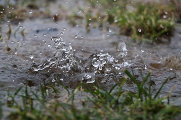 rain is falling in a wooden barrel full of water in the garden