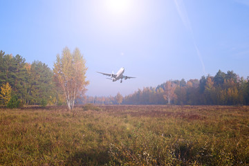 The plane over the dry field near the forest. The sun shines in the sky.