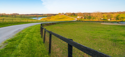 Country Road in Harrison Co. KY