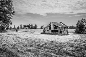 Old Barn in a Hayfield