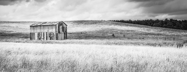 Old Metal Barn in a Field B&W