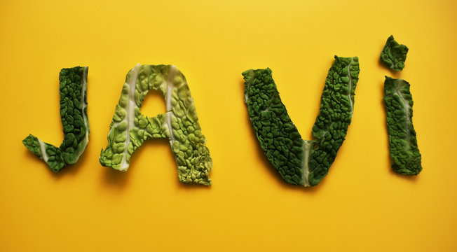 Nombre Javier hecho con hojas verdes sobre fondo amarillo.