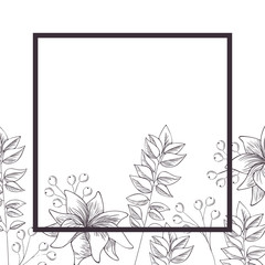 flowers and leafs with frame isolated icon