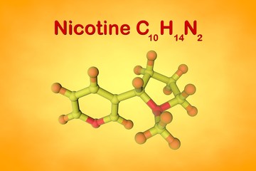 Molecular structure of nicotine, a plant alkaloid present in tobacco. Atoms are represented as spheres with color coding: nitrogen (red), hydrogen (orange), carbon (yellow). 3d illustration