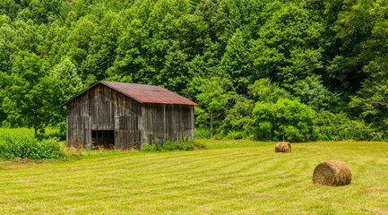 Fototapeta premium North Carolina Barn With Round Bales in Field 6