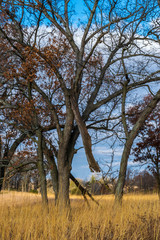 Fototapeta premium Left Hanging