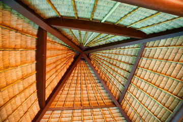 Unusual view of the roof woven from dry palm leaves.