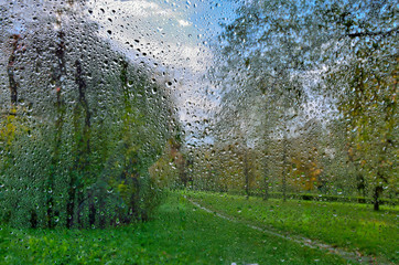 Bright autumn blurred landscape after rain through  wet window glass