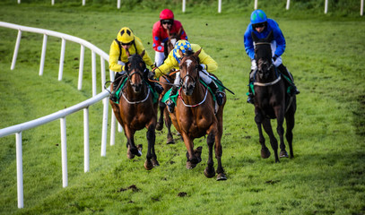 Jockey and race horse taking the lead in a race