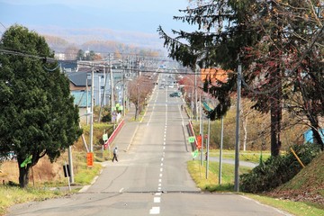 Naklejka premium straight road in Japan