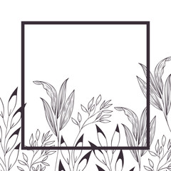 branch and leaf with frame isolated icon