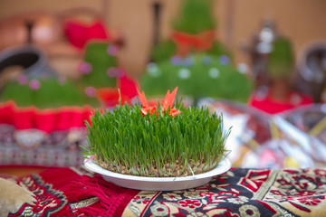 Novruz national Azerbaijan holiday spring new year celebration concept, wheat grass semeni . A seminal siege on a red ribbon on a dry grass