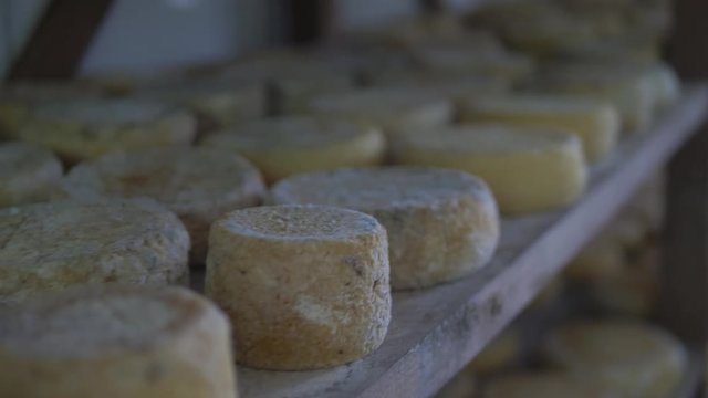 Production of Serro cheese in Minas Gerais