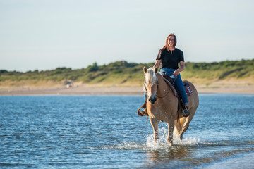 girl riding on haflinger horse in the sea