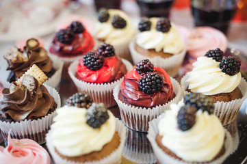 beautiful delicious cakes. confectionery curry at a festive party. many sweet muffins on a tray
