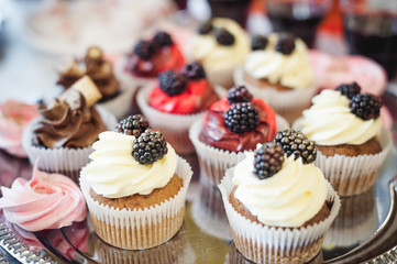 beautiful delicious cakes. confectionery curry at a festive party. many sweet muffins on a tray