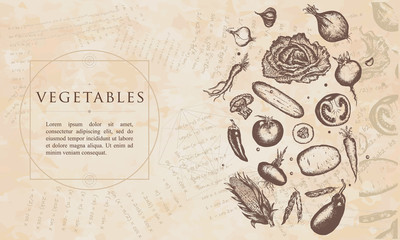 Vegetables. Renaissance background. Medieval manuscript, engraving art
