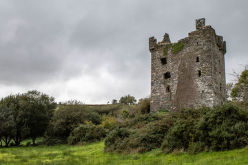 Fototapeta na wymiar Ballinvard Castle, also known as Rossmore, lies in a field in the townland of Rossmore, in County Cork in Ireland.