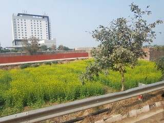 Fototapeta premium builiding near farm