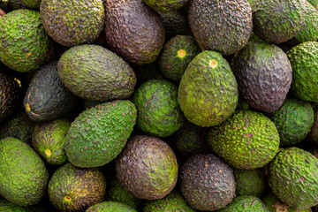 Fresh organic avocado at farmer's market - Image