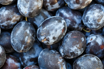 ripe plums as background