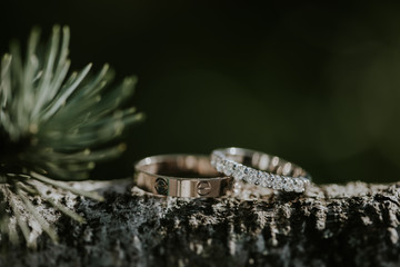 Alliances des mariés dans la nature
