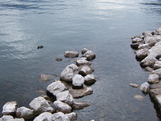See