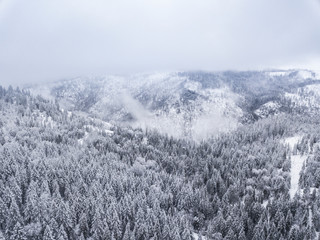 Aerial view of snow covered Sierra Nevada Mountains during the record snowfall