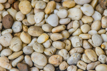 Colorful different colors gravel texture background. Small smooth water worn white, brown and black pebbles or stones for use decor and garden landscaping.