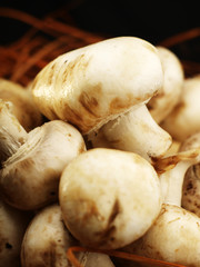 mushrooms in a yellow basket