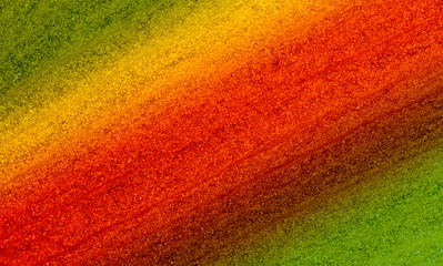 A vibrant plant leaf abstract texture macro