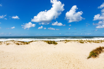 Dune beach at Costa Nova in Portugal