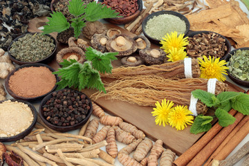 Adaptogen foods with herbs and spices. Used in herbal medicine to help the body resist the damaging effect of stress and restore normal physiological functioning. On white background.