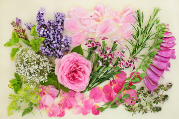 Herbs and flowers used in natural and chinese herbal medicine on cream background, Top view, flat lay.
